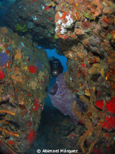 The underwater explorer by Abimael Márquez 